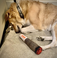 HazyDoggy Chew Toy (Two-Pack)
